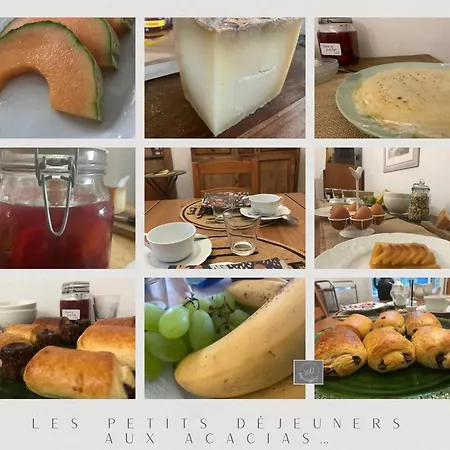 Au Coeur Des Acacias Lauzun