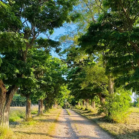 Bed and Breakfast Au Coeur Des Acacias *